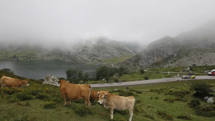 Lagos de Covadonga