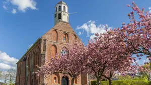 Cherry blossom in front of the old church in Ten Boer