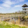 Ommetje in Friesland: 3x de mooiste korte wandelroutes | Noorderland