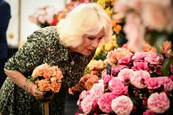 Koningin Camilla, Sandringham Flower Show 2023