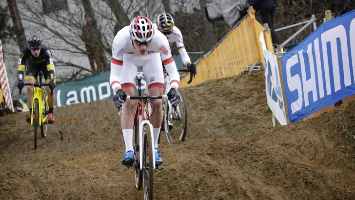 Van der Poel