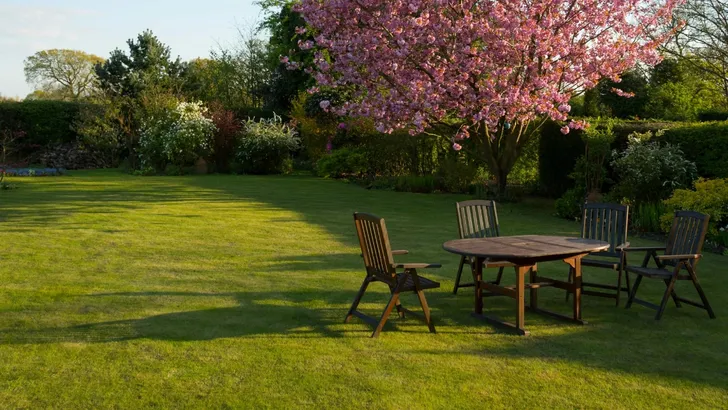 Kleur en harmonie in de tuin: jouw gids voor een perfecte buitenruimte