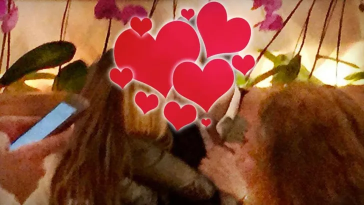 Nieuwe liefde voor Sylvie Meis?
