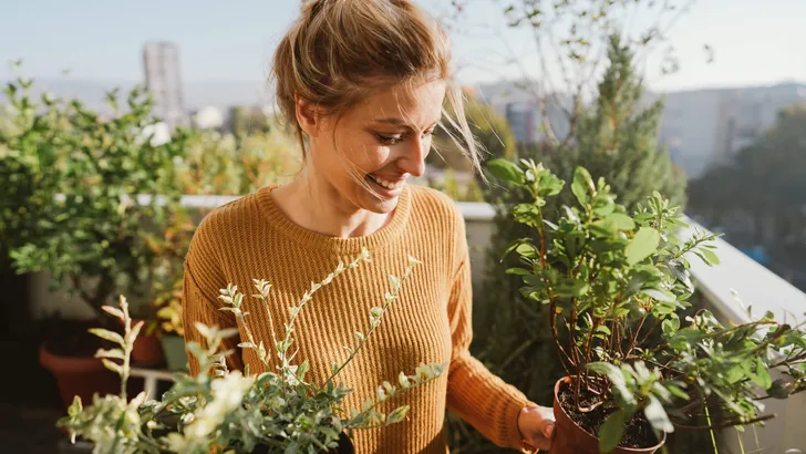 Taking care of my plants