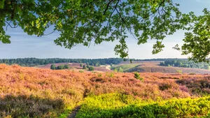 wandelgebied in Nederland