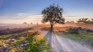 wandelingen heide