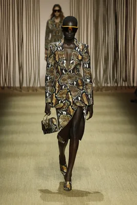 Roberto Cavalli Ready To Wear Spring/Summer 2025