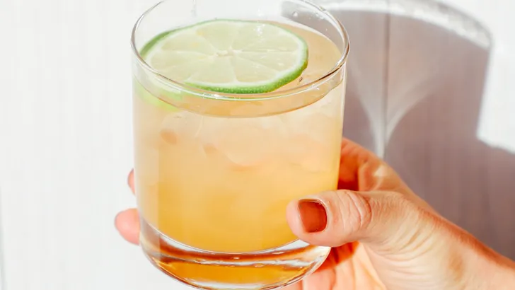 kombucha