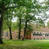 Wandelen in de Ter Apelerbossen: een verrassend stukje Groningen | Noorderland