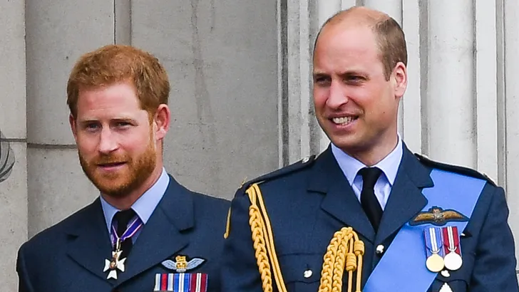 Prins William en Harry's hofhouding zo snel mogelijk opgesplitst