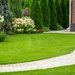 Tuin