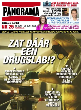 Cover Panorama: 25/2025