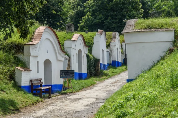 Foto van de traditionele wijnkelders van het Tsjechische Petrov. Ze hebben blauwe façcades en liggen half onder de grond.