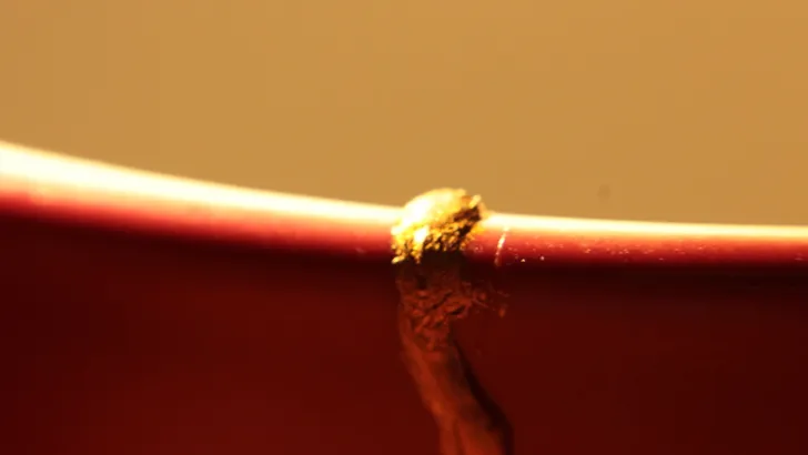 Mottainai: nieuw mooi motto uit Japan 