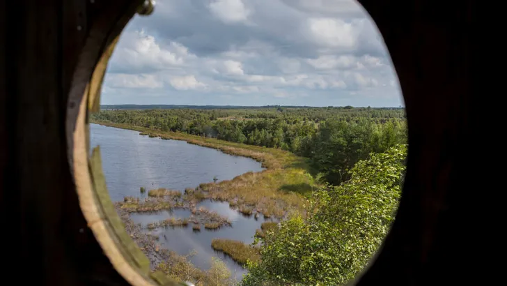 Fochteloerveen nature reserve seen from a watch tower