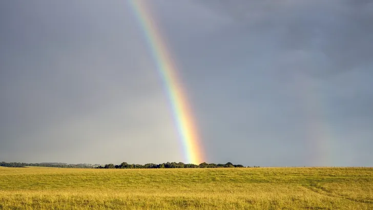 Waarom zie je op dit moment zoveel regenbogen?