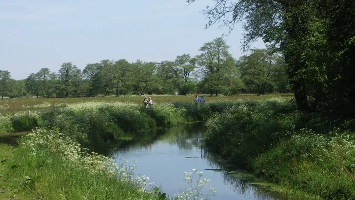 KONICA MINOLTA DIGITAL CAMERA