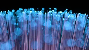 Online autoriteit worden in jouw branche