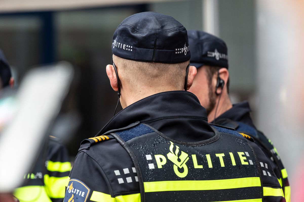 panorama.nl