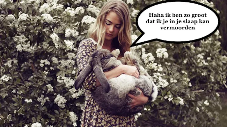 reuzenkonijn
