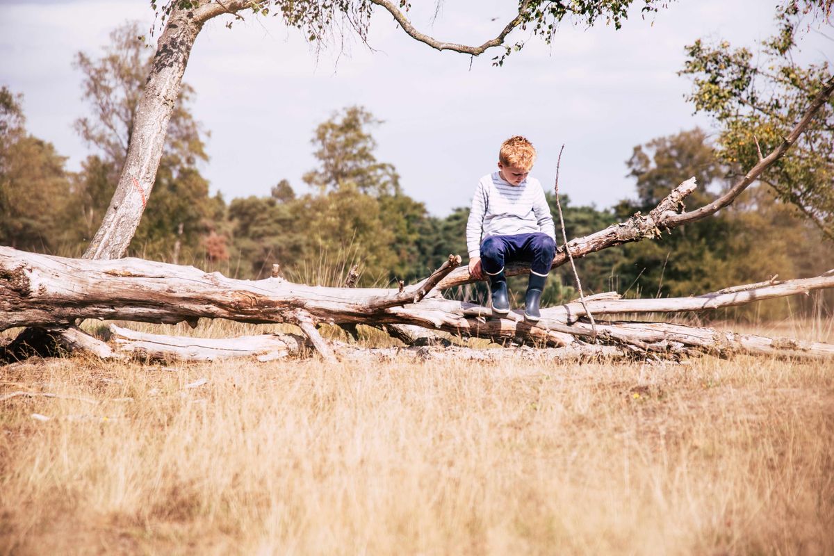Vergeet de Veluwezoom: deze Groningse 'bergen' bewijzen dat de provincie allesbehalve plat is