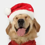 honden