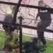 Video: Agent schopt coronademonstrant tegen hoofd: ‘K*tmongool, laat de stad met rust!’