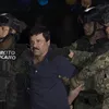 Hoe kon El Chapo zo stom zijn?