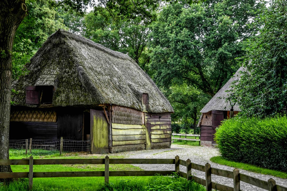 4x Drentse dorpjes waar je zó het bos in loopt