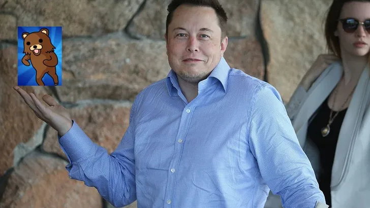 Elon Musk pedo bear
