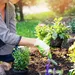 Vrouw bezig in de tuin tijdens lenteweer.