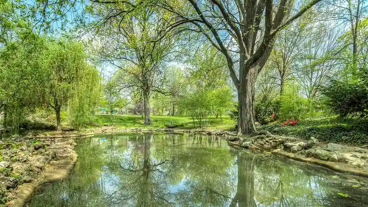 Waarom de landschapsvijver dé nieuwe musthave is in luxe tuinen
