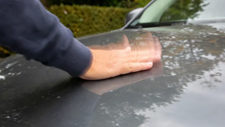 Waarom je 's ochtends in het najaar eerst op je motorkap moet slaan voor je wegrijdt