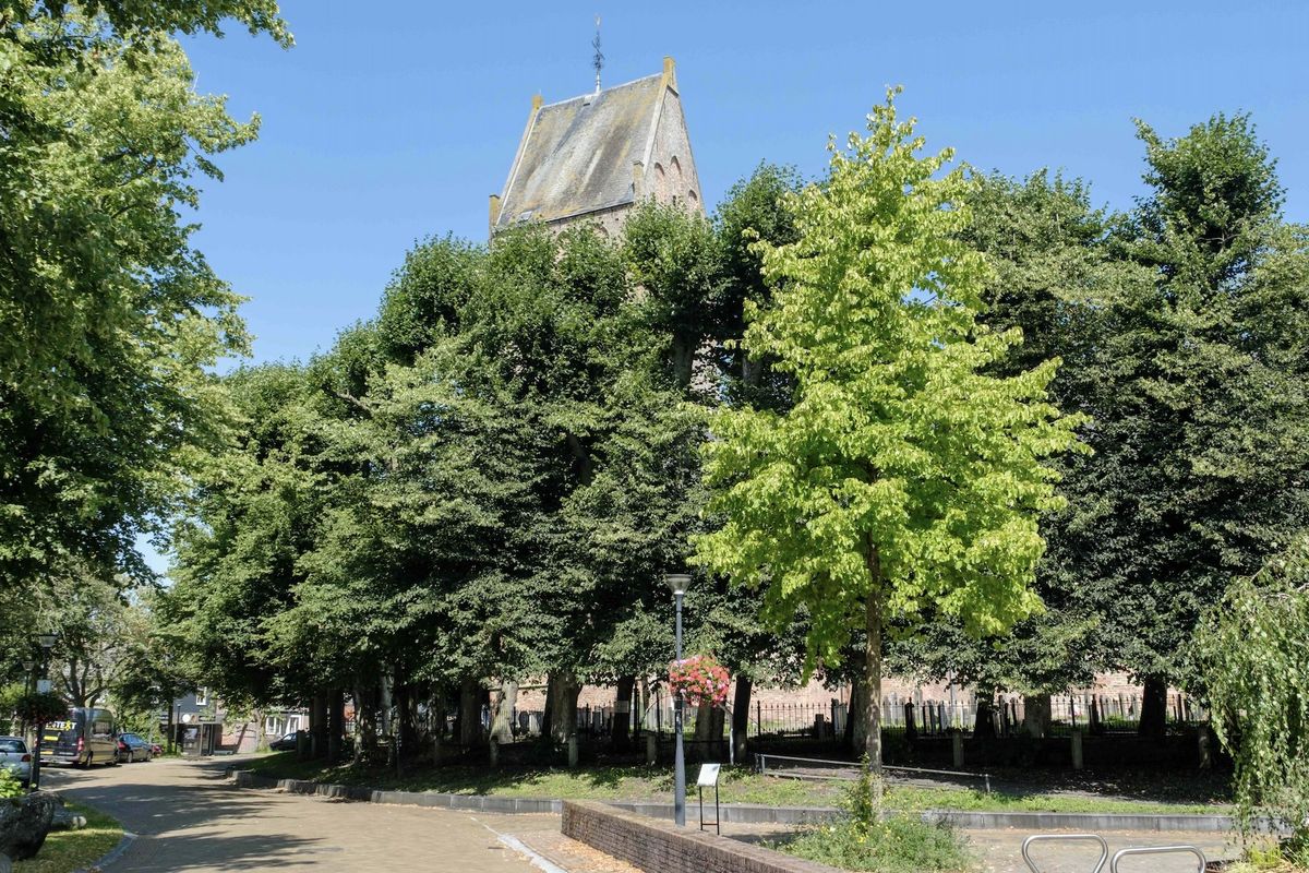 Rondje om de kerken: een verstilde wandelroute door het hart van Friesland