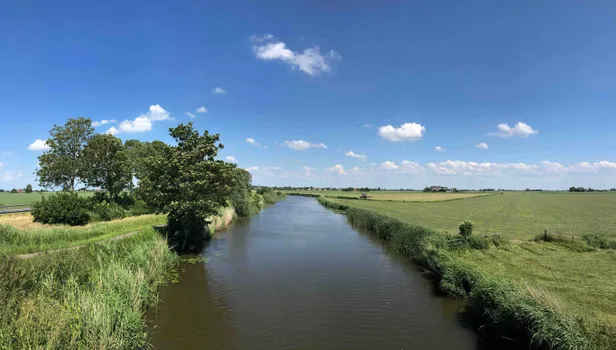 Landschap in de Greidhoek