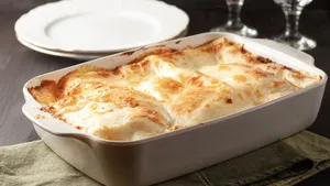 Lasagne witlof
