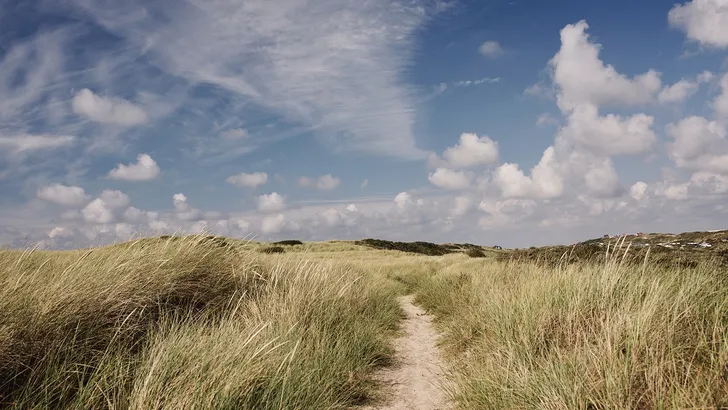 Zenwandelen in Bergen aan Zee