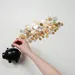 geld sparen