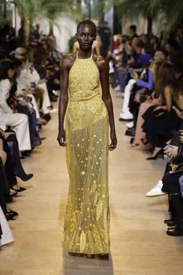 Elie Saab SS25 PFW