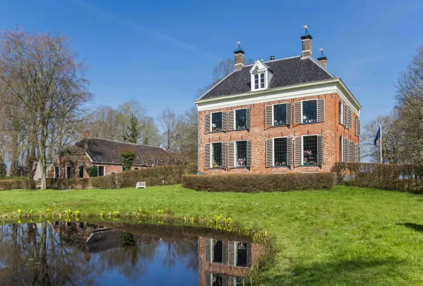 De eerste stinzenplanten komen al op bij de Ennemaborg in Midwolda