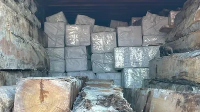 De drugs waren net niet zorgvuldig weggestopt tussen teakhouten balken.