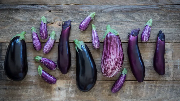 Vitaminebom uit eigen land: de Hollandse aubergine!