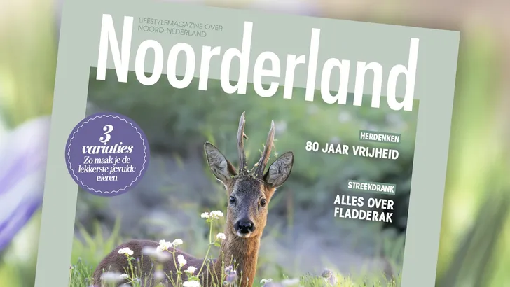 Noorderland