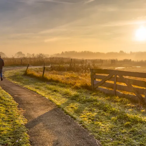 Rustige natuurgebieden in Noord-Nederland