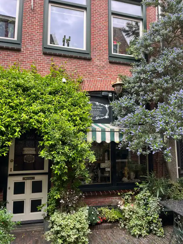 Leuke straatjes in Haarlem 