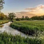 Claudia wandelt: de bossen van Drenthe