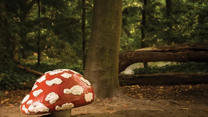 Nouveau's Ella haalt herinneringen op aan de jarige Efteling 