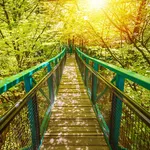 Manmade structure and bridge to experience a treetops adventure challenge in a forest