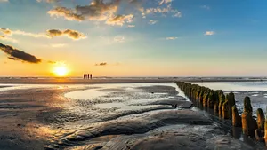 Wadden