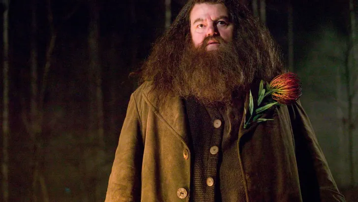 HARRY POTTER AND THE GOBLET OF FIRE (2005) - ROBBIE COLTRANE.